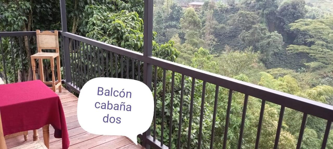Hostal Y Cabanas Los Juanes Jardín Dış mekan fotoğraf